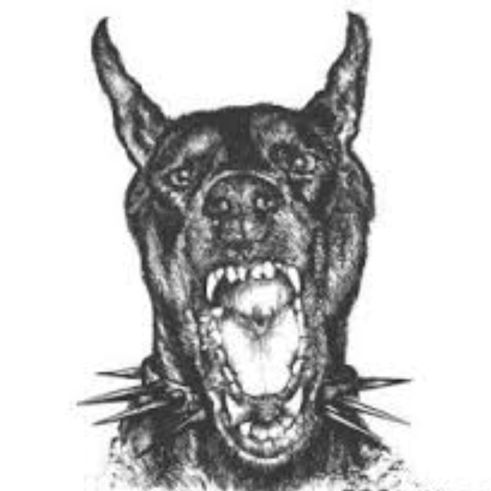 Meet your Posher, Sierra